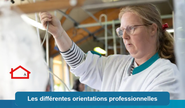 orientations professionnelles MDPH