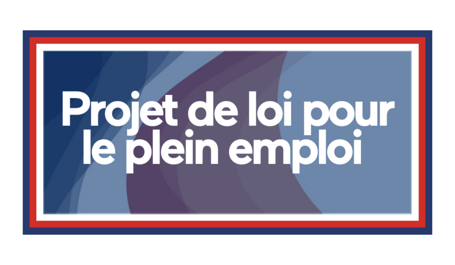 loi pour le plein emploi